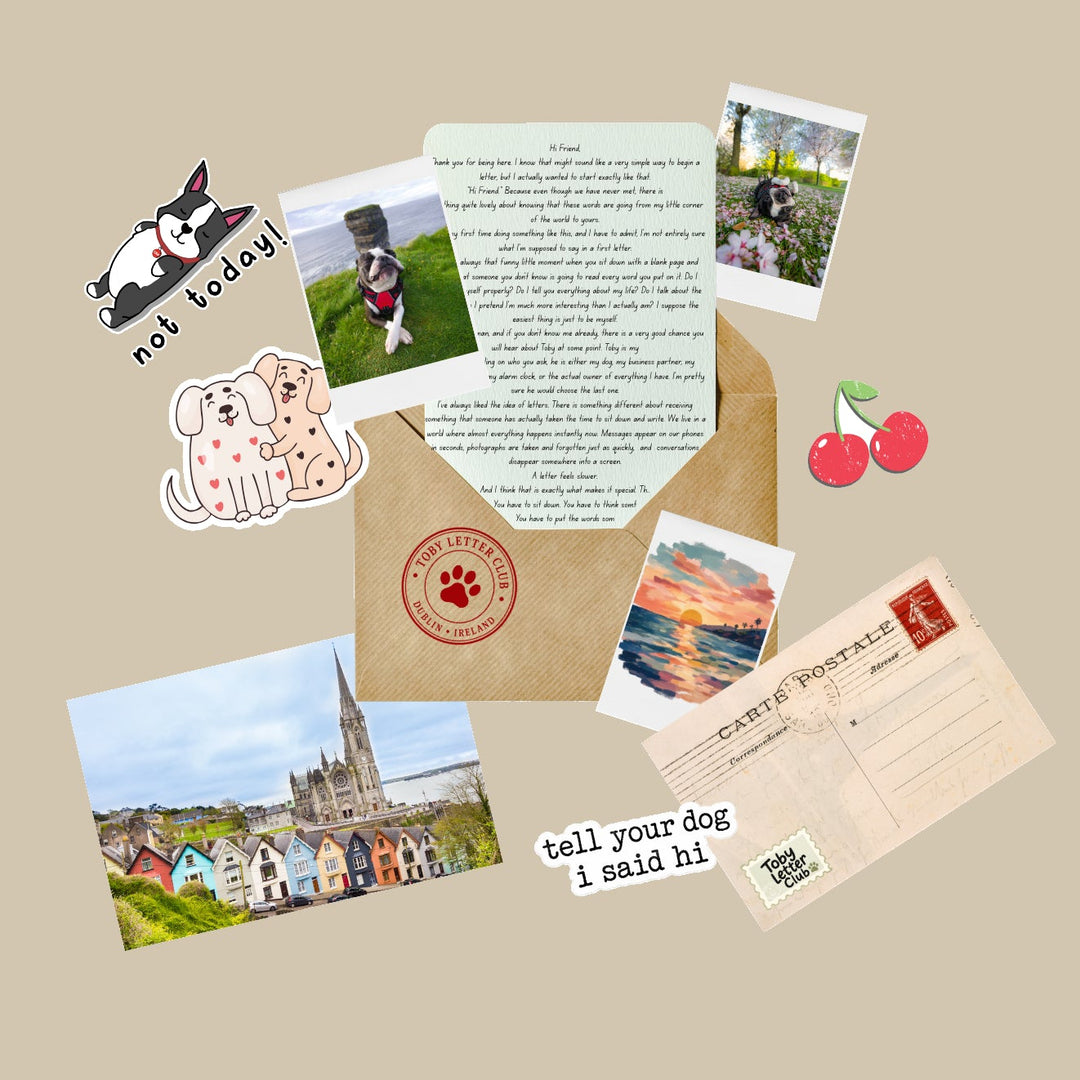 A flat-lay arrangement of dog-themed stationery items on a solid beige background, including a kraft envelope with a paw print seal, postcards, stickers, a letter, and a fake postage stamp.