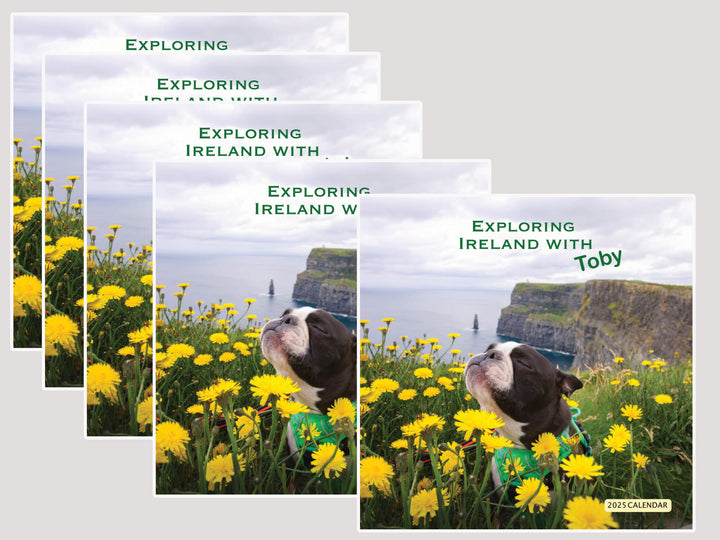 2025 Wall Calendar